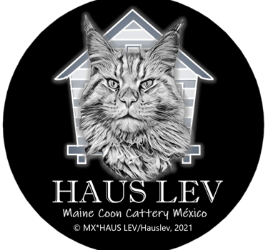 Logo Haus Lev Maine Coon Copyright México
