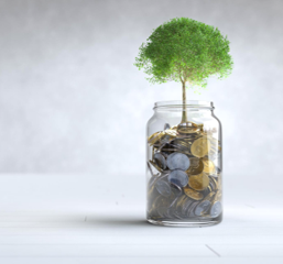 Education financière