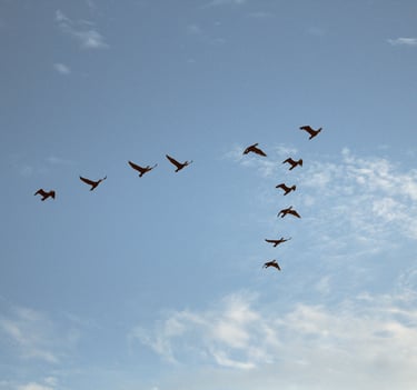 Indépendance, liberté