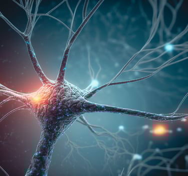 image montrant des connexions neuronales 