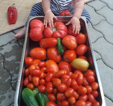 Gemüseernte, gesunde Ernährung für Kinder
