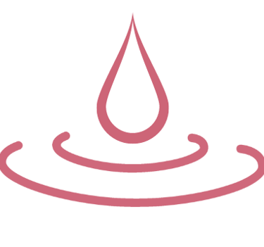 Pranav Chawla Logo Red Droplet