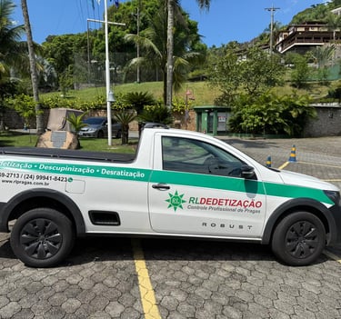 Descupinização