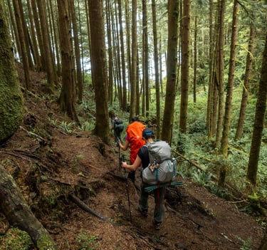 A group hiking in a rainforest near Vancouver, Canada