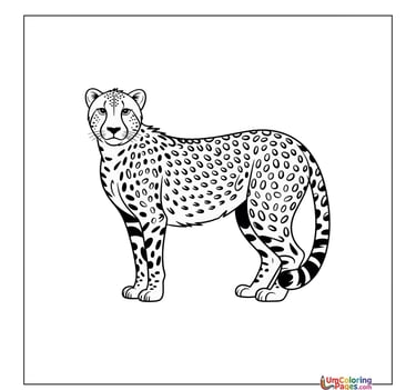 Cheetah  coloring page baby wild cat printable