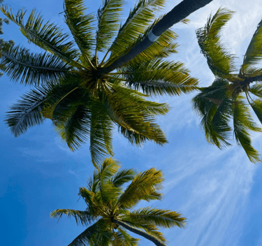 Beach experience in Honolulu
