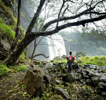 what-is-grounding-visit-nature-inner-energy-harmony