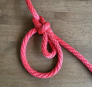 Bowline with a Bight tied in red rope