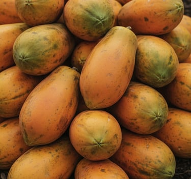 Supplier Pepaya Grosir Jakarta