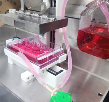 bioreactor, compression bioreactor, biomimetics