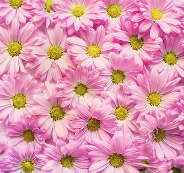 soin énergétique à distance et en ligne