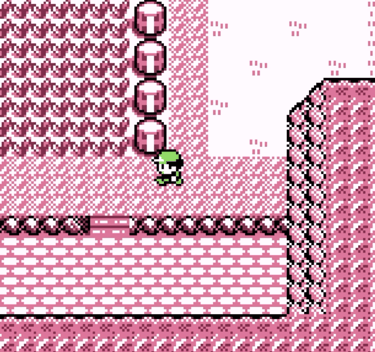 Pokemon on the Hunt