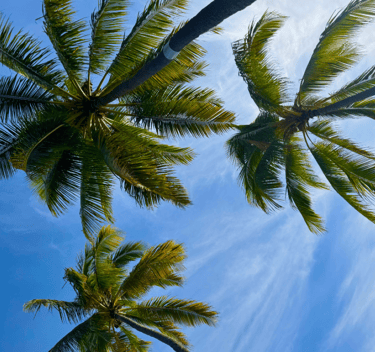 Beach experience in Honolulu