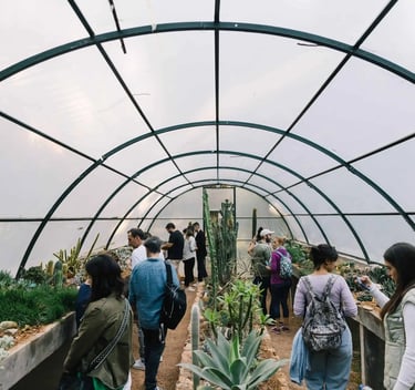Installation view from the exhibition Sheltered Gardens (PCAI)