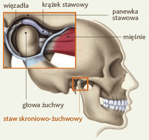 terapia stomatologiczna bielsko