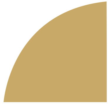 elemento grafico do logo Finance Hub