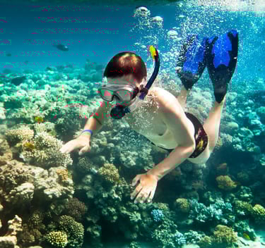 Snorkeling for all the family