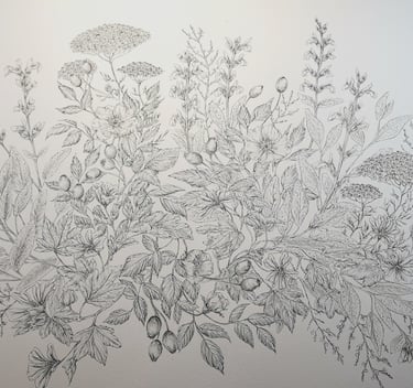 illustrazione di piante botaniche ad inchiostro
