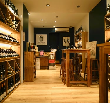 Paris Wine Tasting Experience