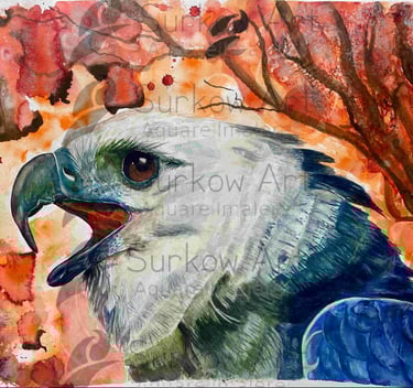 aquarell-adler-harpyie-vollansicht-surkow-art-paul-surkow