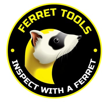 Ferret inspection camera used to inspect the guttering