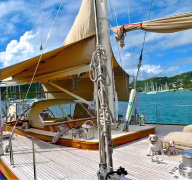 we will help you find the yacht you're looking for