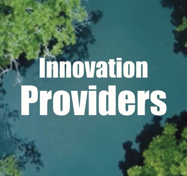 PG Green Innovation Providers