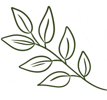 Branche avec feuilles