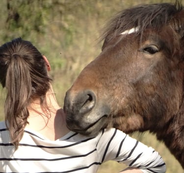 Cheval posant sa tête sur l'épaule d'une jeune fille de dos