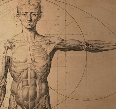 sarıyer anatomi dersi