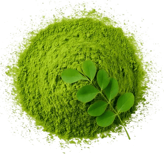 moringa leaf powder uae dubai germany
