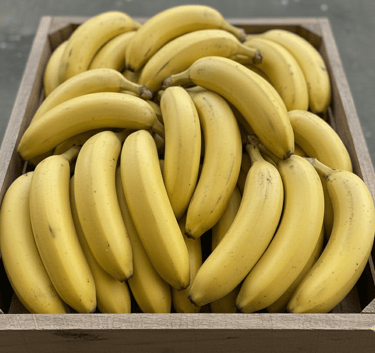 Supplier Pisang Grosir Jakarta