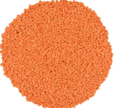 masoor dal trader