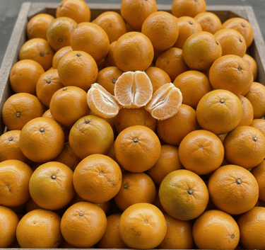 Supplier Jeruk Grosir Jakarta