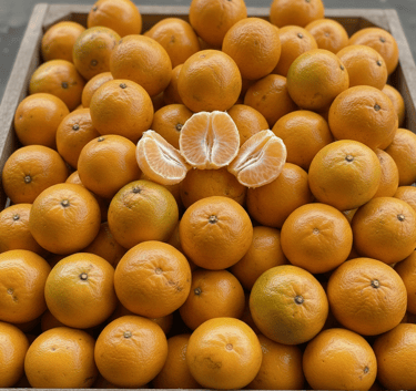 Supplier Jeruk Grosir Jakarta