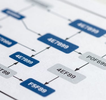 Close-up of an organized architectural plan or a structured diagram showing logical connections. Professional and precise. Colors: #4E7B99 and #F5F8FA.