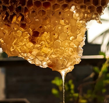 Pure Honey