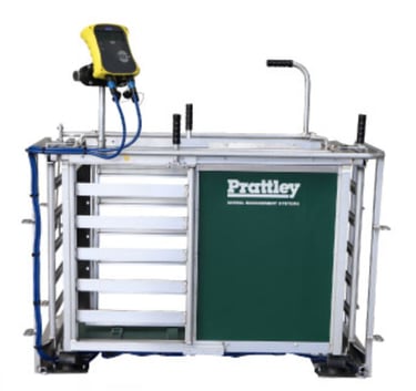 Caja pesaje manual Prattley