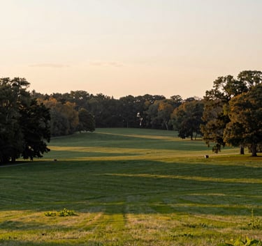 A panoramic view of the Narrows Farm grounds in Ohio, showing rolling green lawns and mature trees. The composition is wide and peaceful, captured in soft sunset light. The colors emphasize the #3C4B40 and #6C7C71 natural landscape tones.