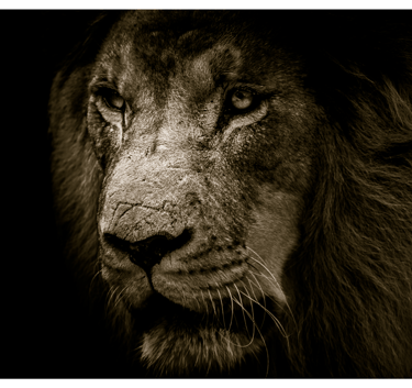 confiance-en-soi-estime-de-soi-hypnose-hypnnosia.fr