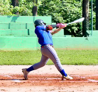 nippon blue jays batter