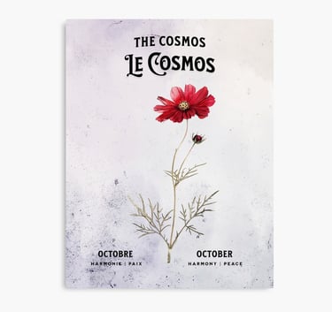 cosmos