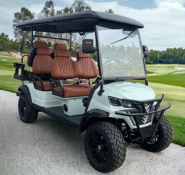 Car on ground in a park