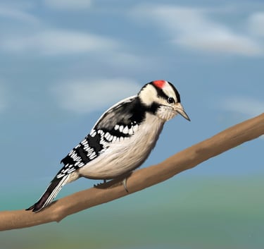 Downy Woodpecker perched on a branch 