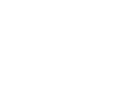 a stylized geometrical design of a fox head