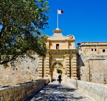 Mdina Walking Guided Tour main gate mdina