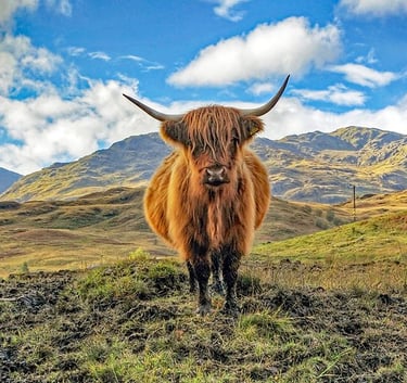 a cowgirl standing in a field with mountains in the background