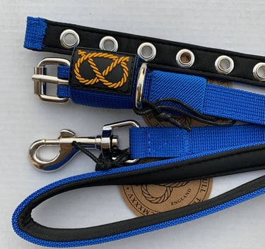 collare e guinzalio sbt1935