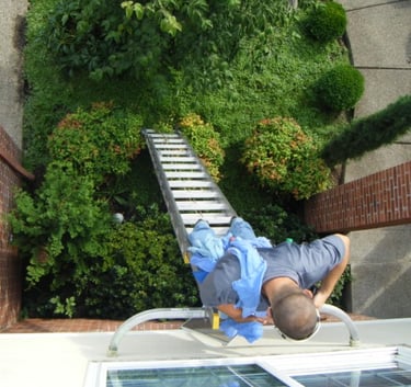 Window cleaning Lexington sc 