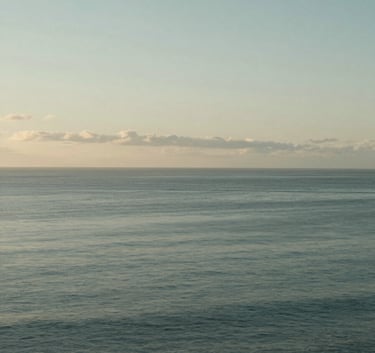 A serene landscape of the Sunshine Coast, Australia, with a calm ocean under a soft morning sky, featuring muted slate green and mist tones.